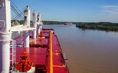 Cómo prevenir el biofouling en agua dulce: la revolución de los iones cobre