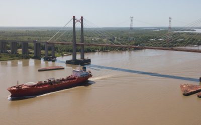 El mejillón dorado: una invasión que desafía nuestras aguas